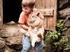 Rabbit eats child